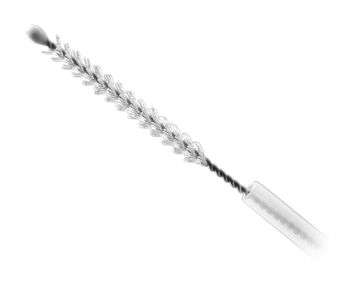 GF4317 Cytology brush